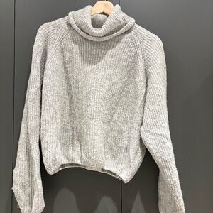 Subdued Raglan Wool Turtleneck